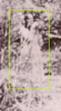 Close-Up: The Watcher Ghost