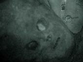 Scary Video!  Alien