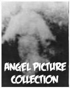 Angels: Angel Picture Collection!