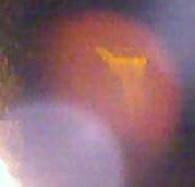 Angel of Fire angel picture