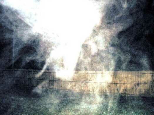 Angel Photo from Whosoever Believes