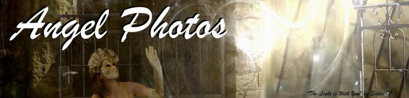Angel Photos
