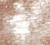 Angel Pictures Archives!