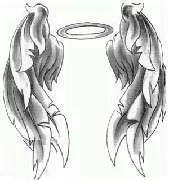angel wings pic