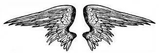 angel wings pictures