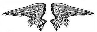 angel wings pictures