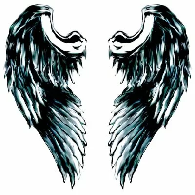angel wings picture