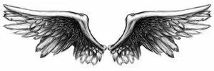 angels wings pictures