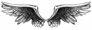 angels wings pictures