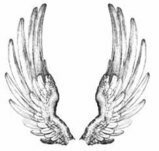 angel wings picture