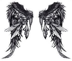 angels wings picture