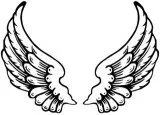 picture of angel wings