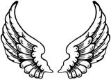 picture of angel wings