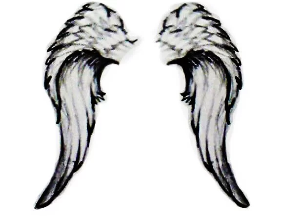 angels wings pictures