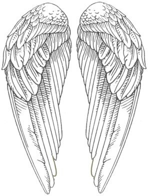 angel wings
