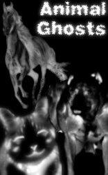 Animal Ghosts!!