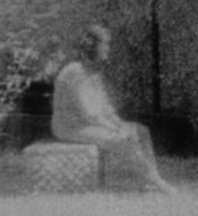 Bachelors Grove Ghost Photo