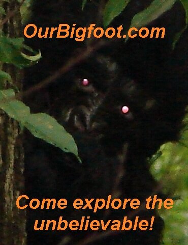 Bigfoot!