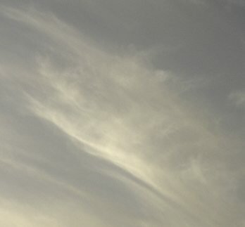 Cape Town Angel Picture