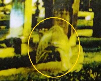Charleston Ghost Picture - Is it Sue Howard Hardy?