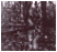 Civil War Cemetery Ghosts?