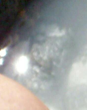 Face in Water Angel Picture?