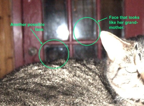 Close-up: Facial Apparition Ghost Photo