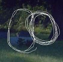 Fairview Ghost Pictures