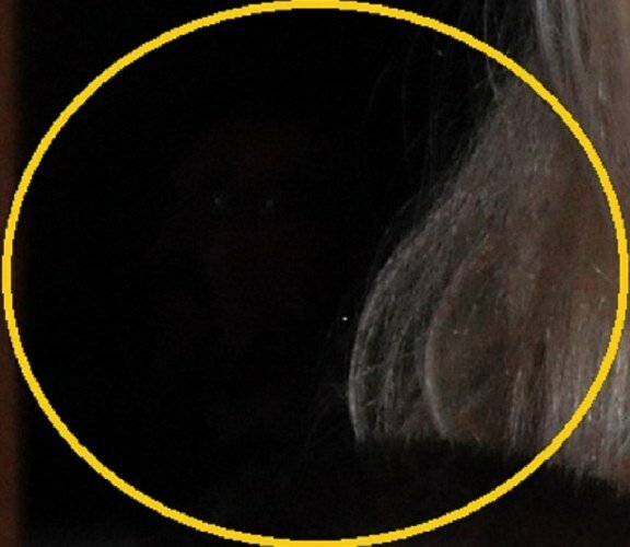 Ghost Dog - Circled