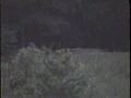 scary videos