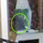 Ghost Looking In Window