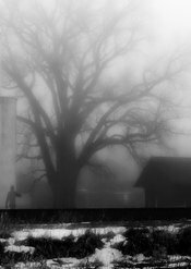 Ghost Pictures!  Ghost Photos!