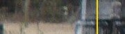 Grave Girl Ghost Picture