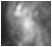Haunting Mists Ghost Pictures