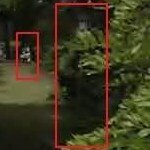 Head Ghost Picture