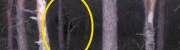 Hidden Ghost Picture!