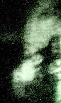 Higher Spirits: Hurricane Angel Close-up