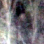 Highway Ghost