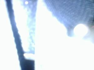 Hospital Angel Photo