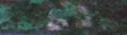 House of the Seven Gables Ghost Picture
