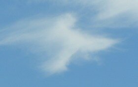 Lunch Break Angel Picture