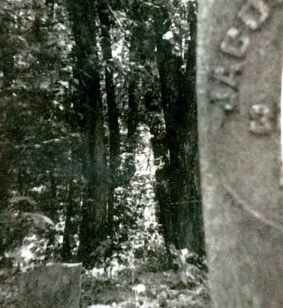 Man by grave ghost picture