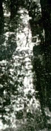 Man by Grave Ghost