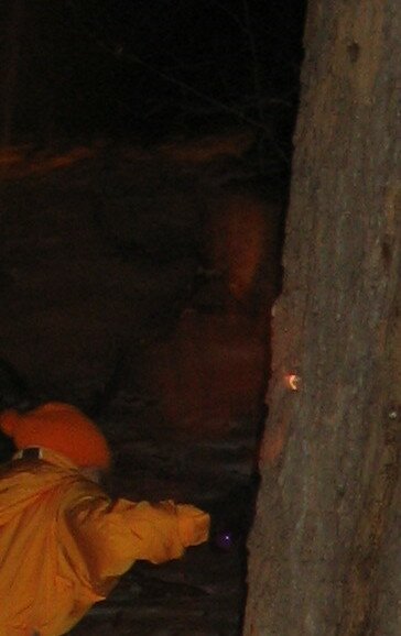 missisippi river ghost