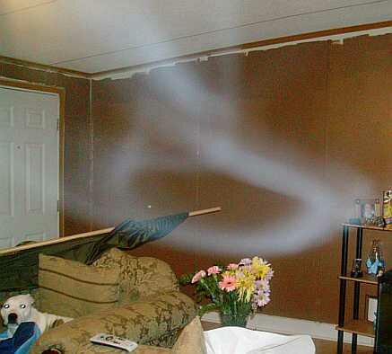 Keachi Mist Ghost Picture