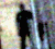 Moundsville Shadow Man Ghost Picture