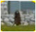 Nun Ghost Picture