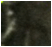 Old House Ghost Picture