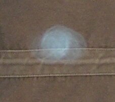 haunted jacket
