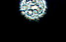 orb pic